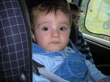 martin